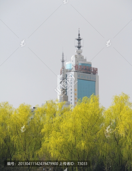 柳樹(shù)和辦公樓