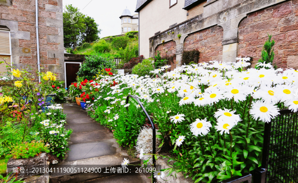 建筑,風(fēng)景