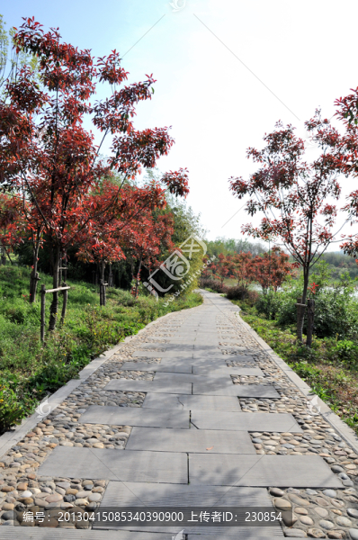 合肥蜀山森林公園
