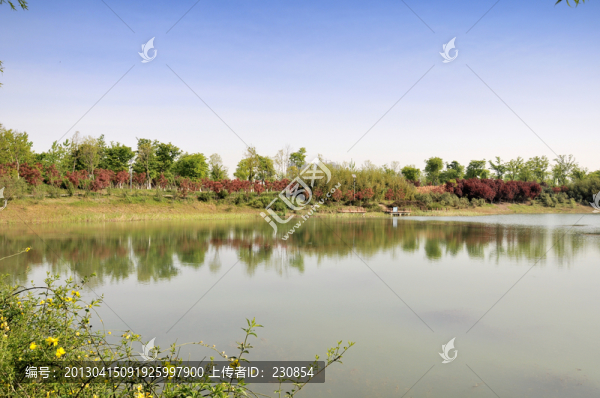 合肥蜀山森林公園