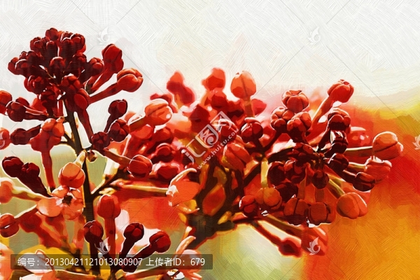 裝飾畫(huà)丁香花