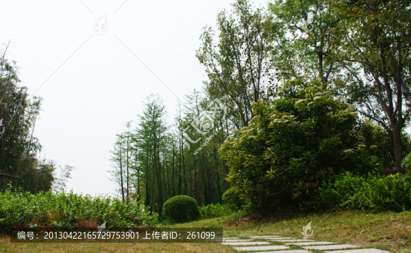 園林規(guī)劃