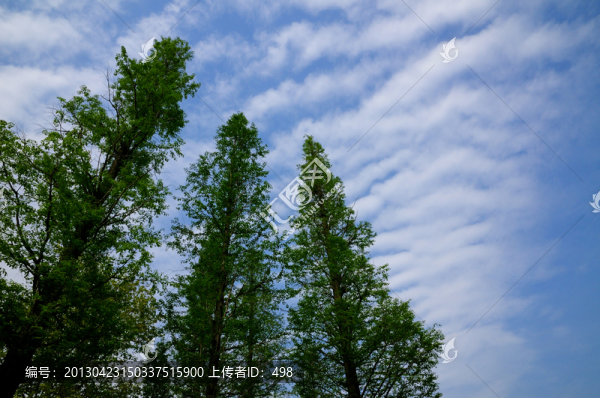 藍天白云