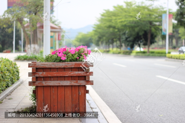 路邊花壇