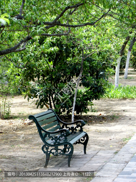 公園,椅子