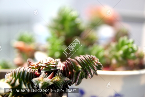 茜之塔