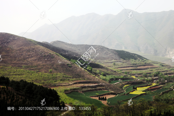 嵯峨山