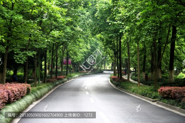 林間道