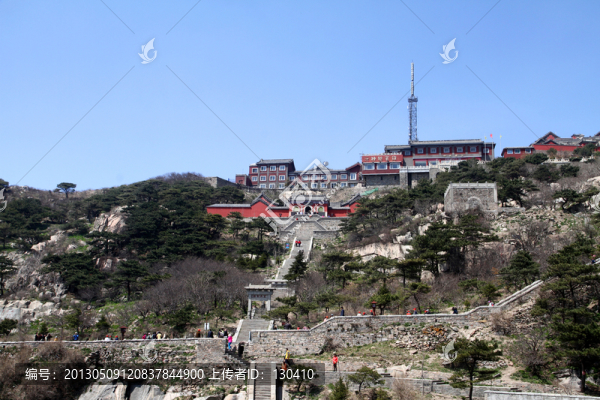 泰山