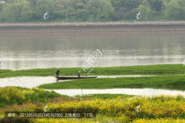 橘子洲頭風景