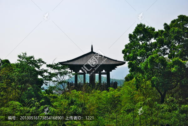 大唐貢茶院