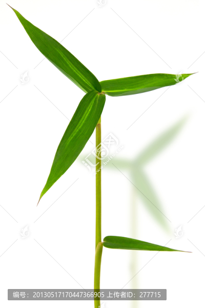 竹葉做成的風(fēng)車(chē)