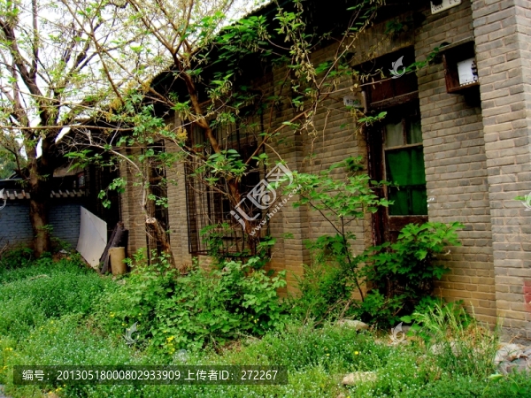 房子與雜草