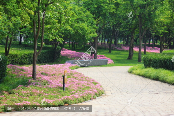 公園小路
