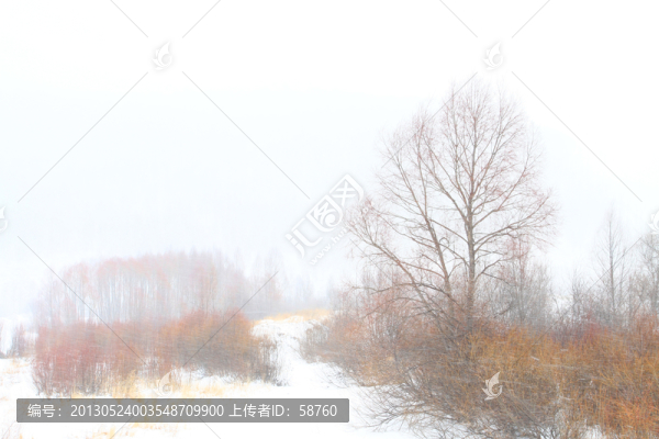 雪色紅柳圖