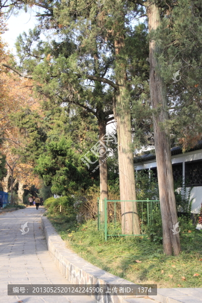 公園秋色