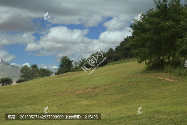 草地