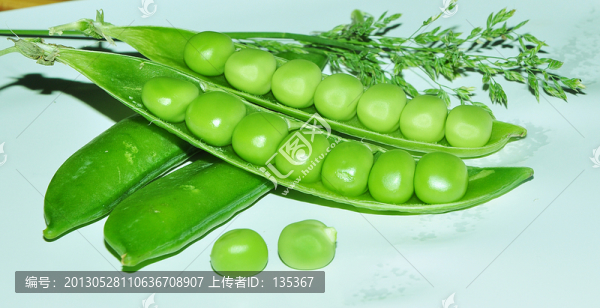 豌豆,青豆