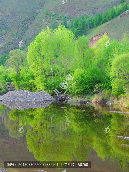 河畔綠樹(shù)