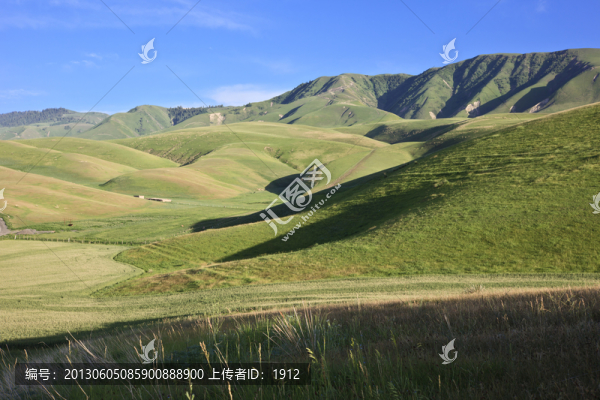 高山牧場