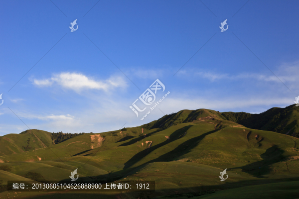 山