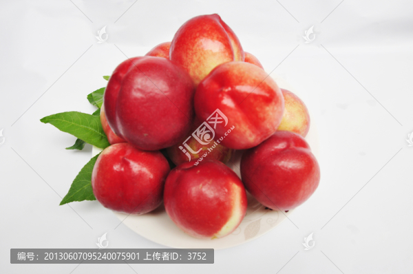 油桃