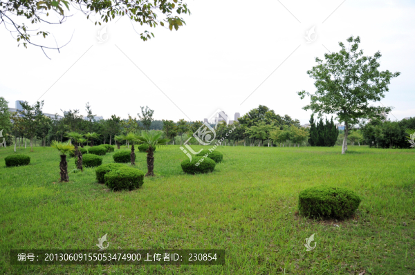 合肥工業(yè)大學(xué),合工大校園綠化