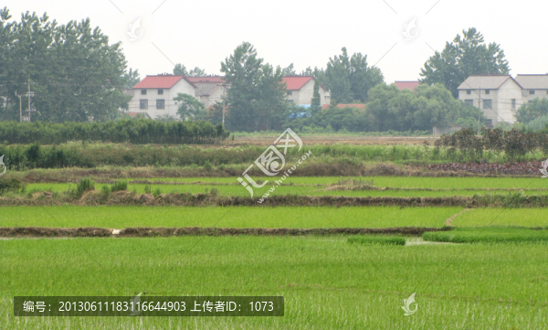 美好鄉(xiāng)村