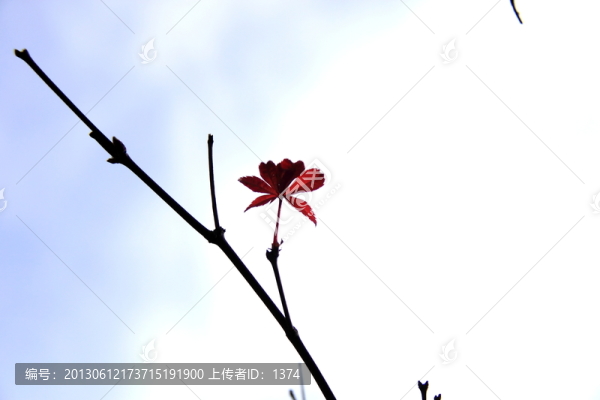 公園秋色