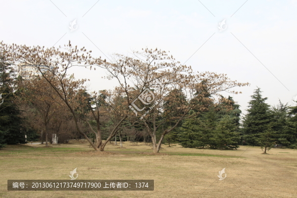 公園秋色
