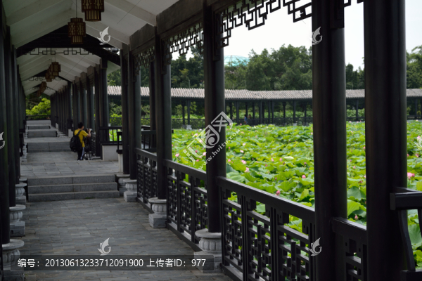 攝影,古亭,亭子,古建筑