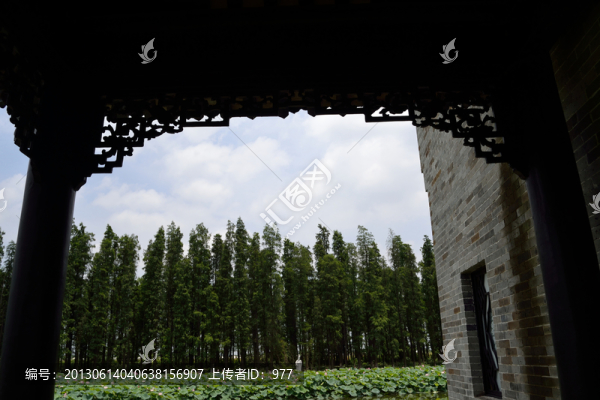 古建筑,,走廊,,樹林