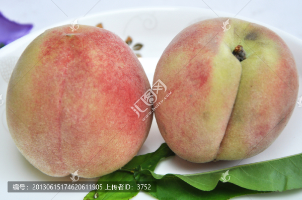 桃子