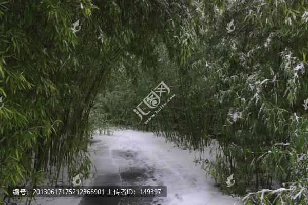竹林