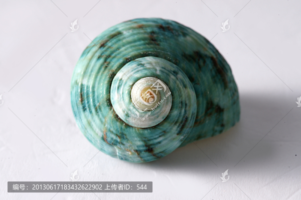 海螺