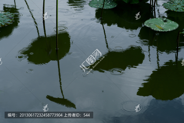 荷塘