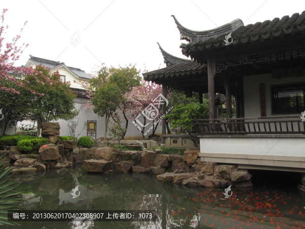 蘇州木瀆,嚴家花園,錦鯉