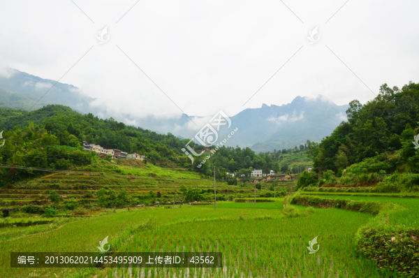 梯田
