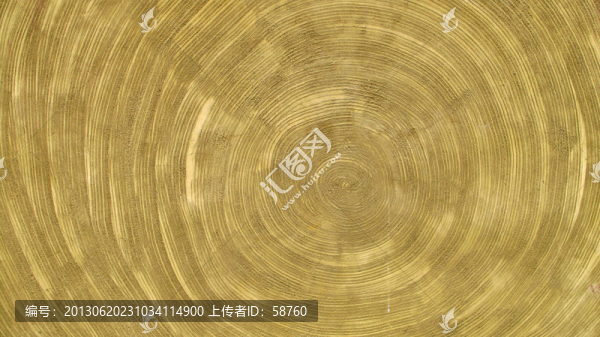 仿木年輪