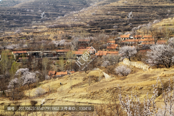 春天的小山村