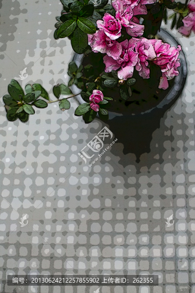 盆花