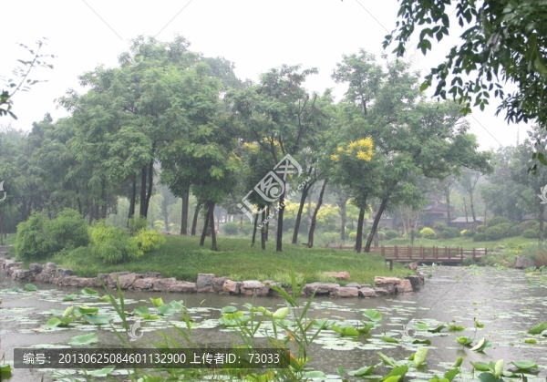 雨天北寧公園荷塘樹木