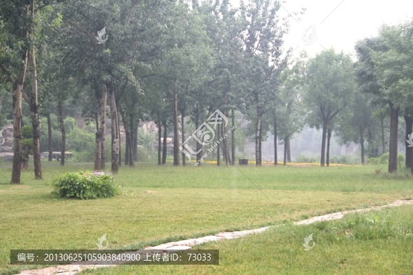 雨天北寧公園樹木綠地