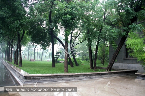 雨天天津北寧公園綠地樹木