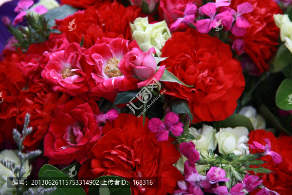 鮮花朵