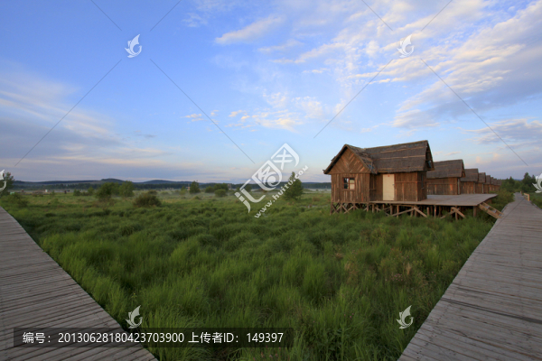 濕地沼澤風(fēng)景