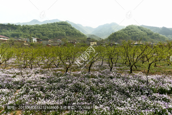 北京平谷熊兒寨田園