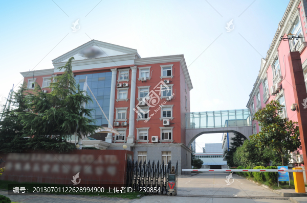 歐式建筑,公司大門