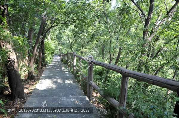 綠樹