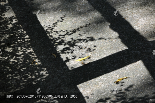 詩(shī)意陽(yáng)光